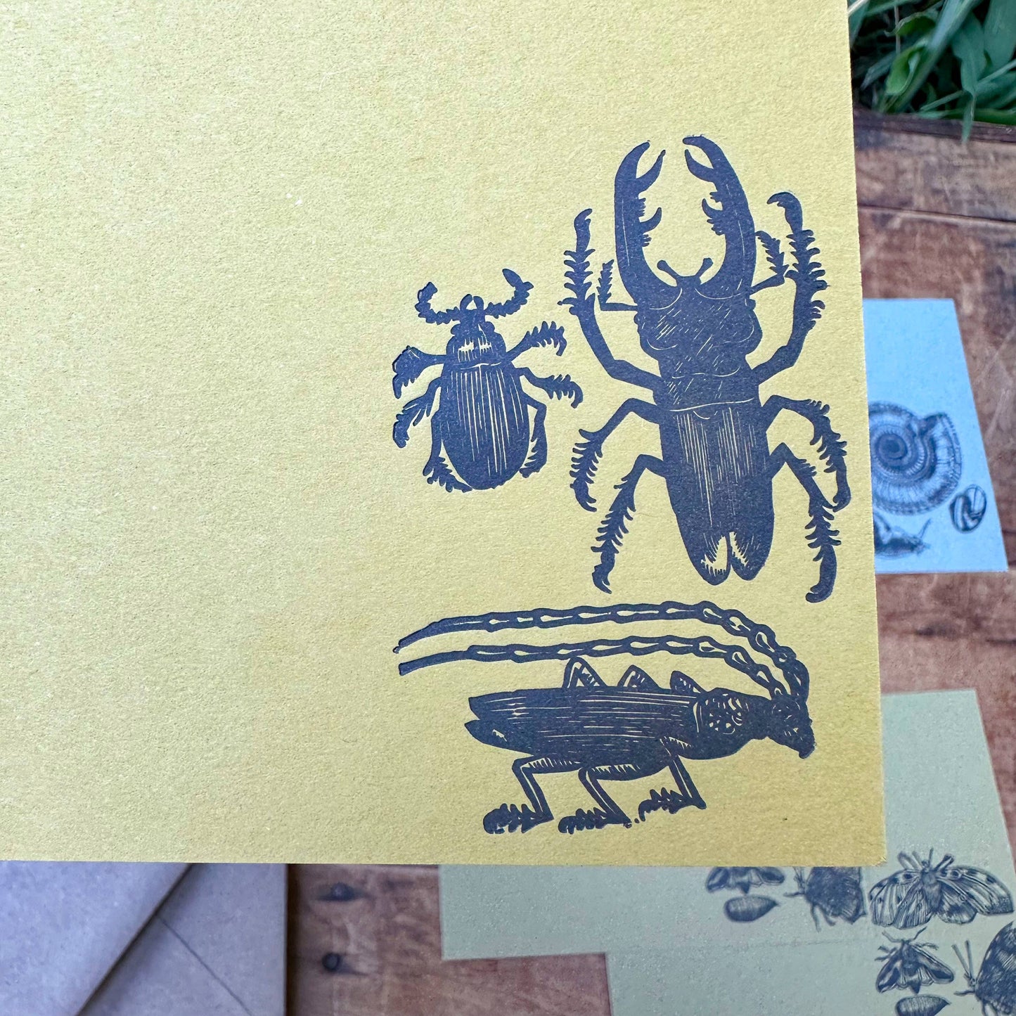 Insect Letterpress Stationery