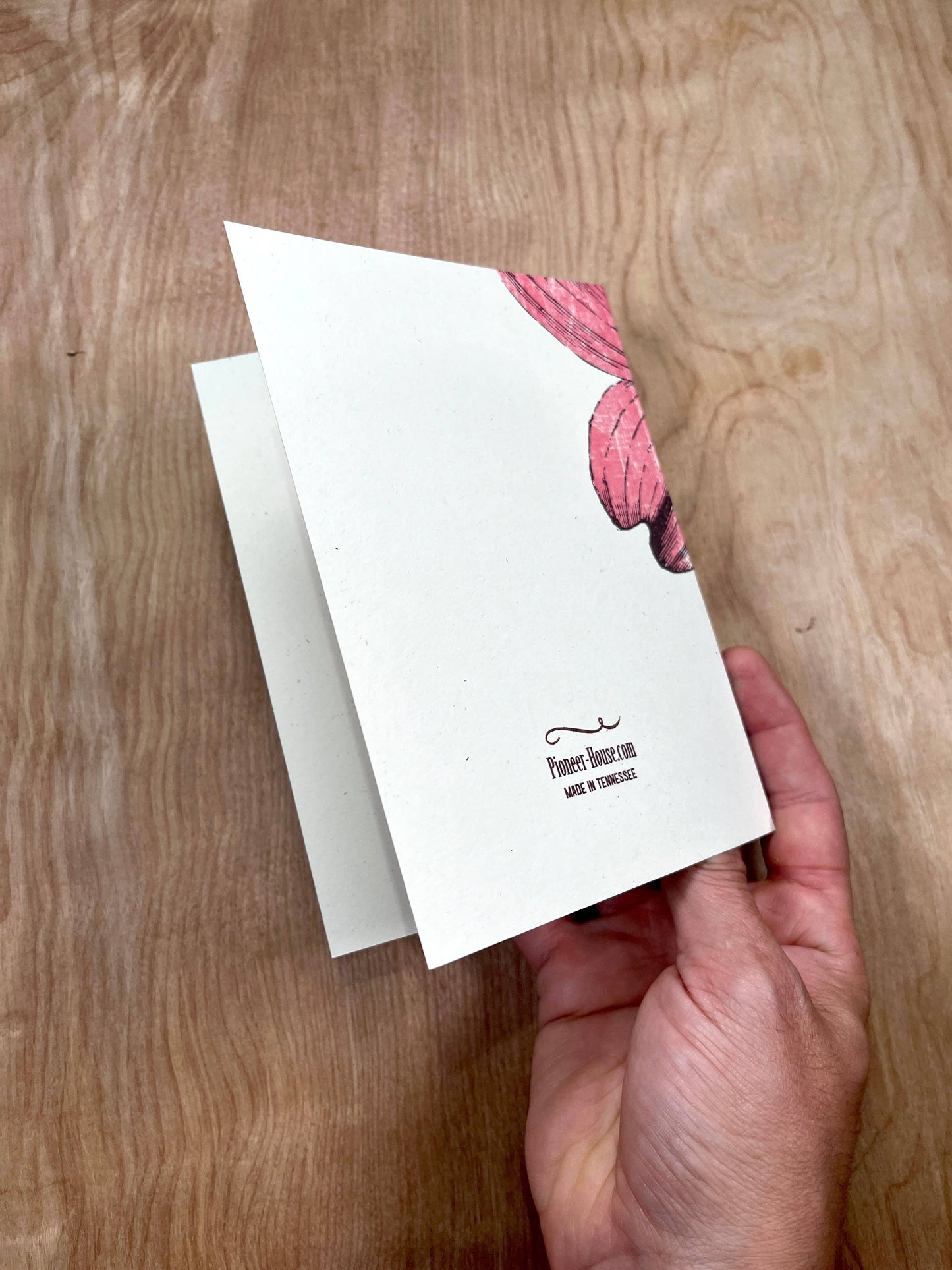 Pink Dogwood Greeting Cards