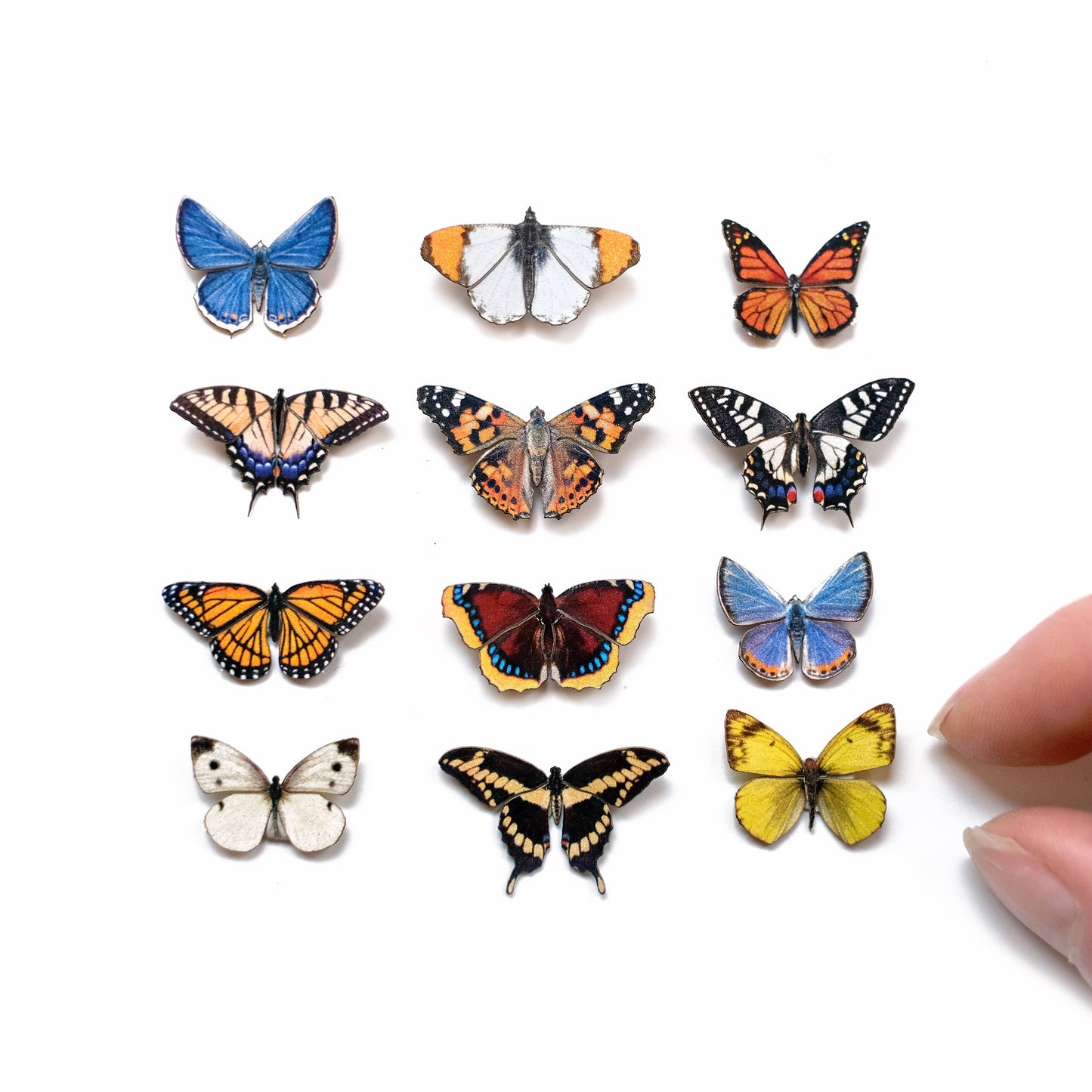 'North American' Butterfly Micro Collection