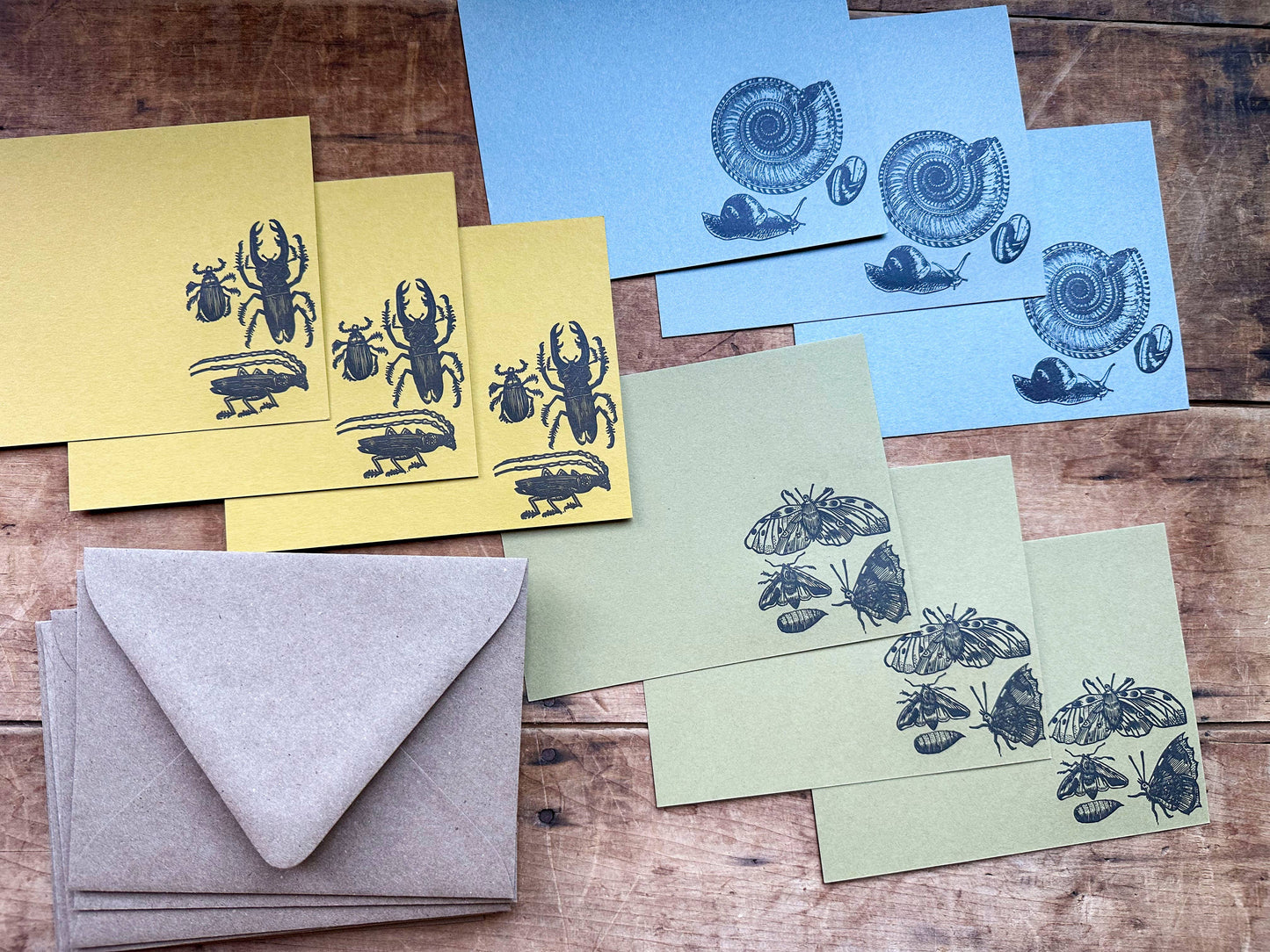 Insect Letterpress Stationery