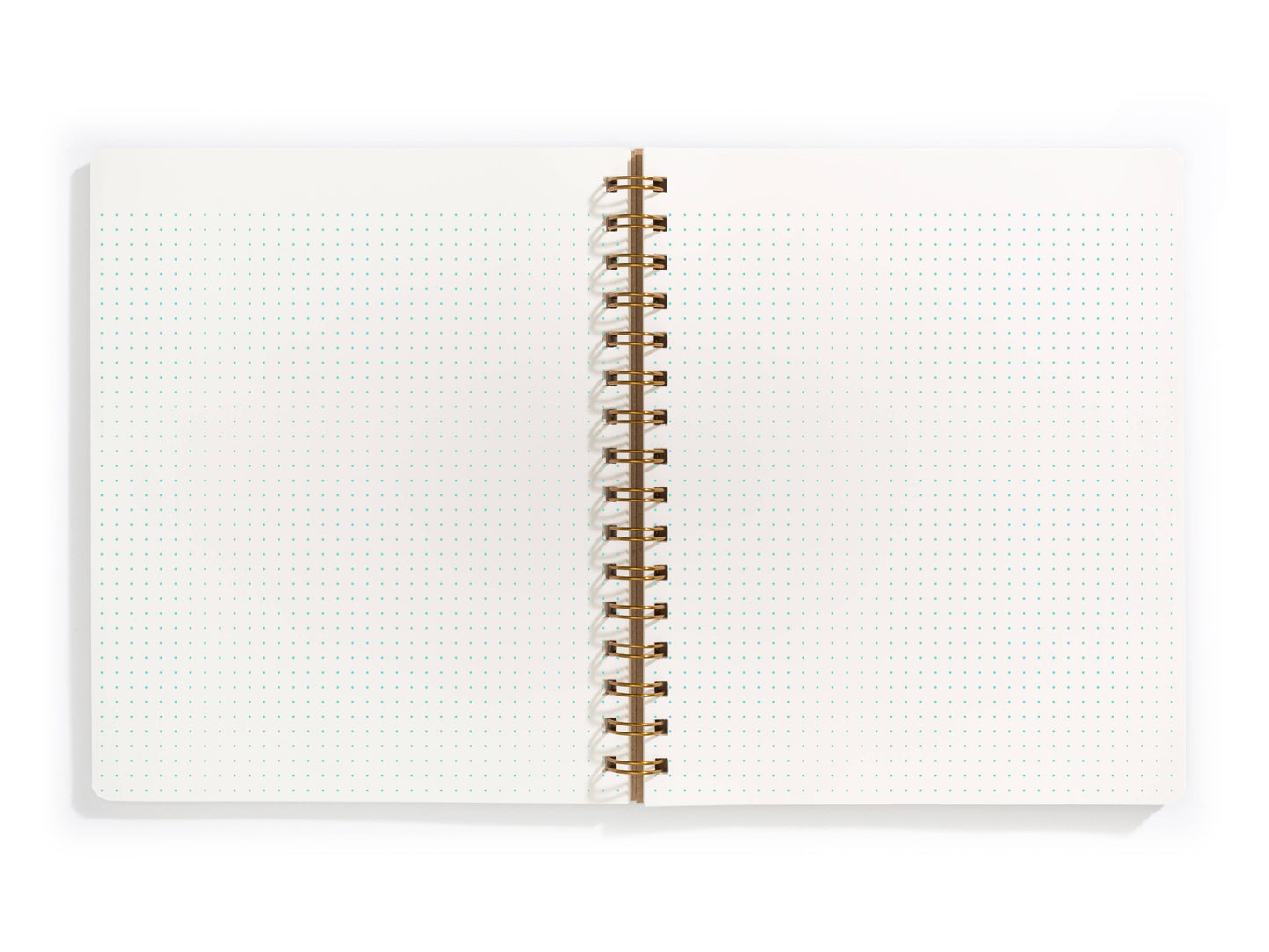 Standard Notebook - Mint