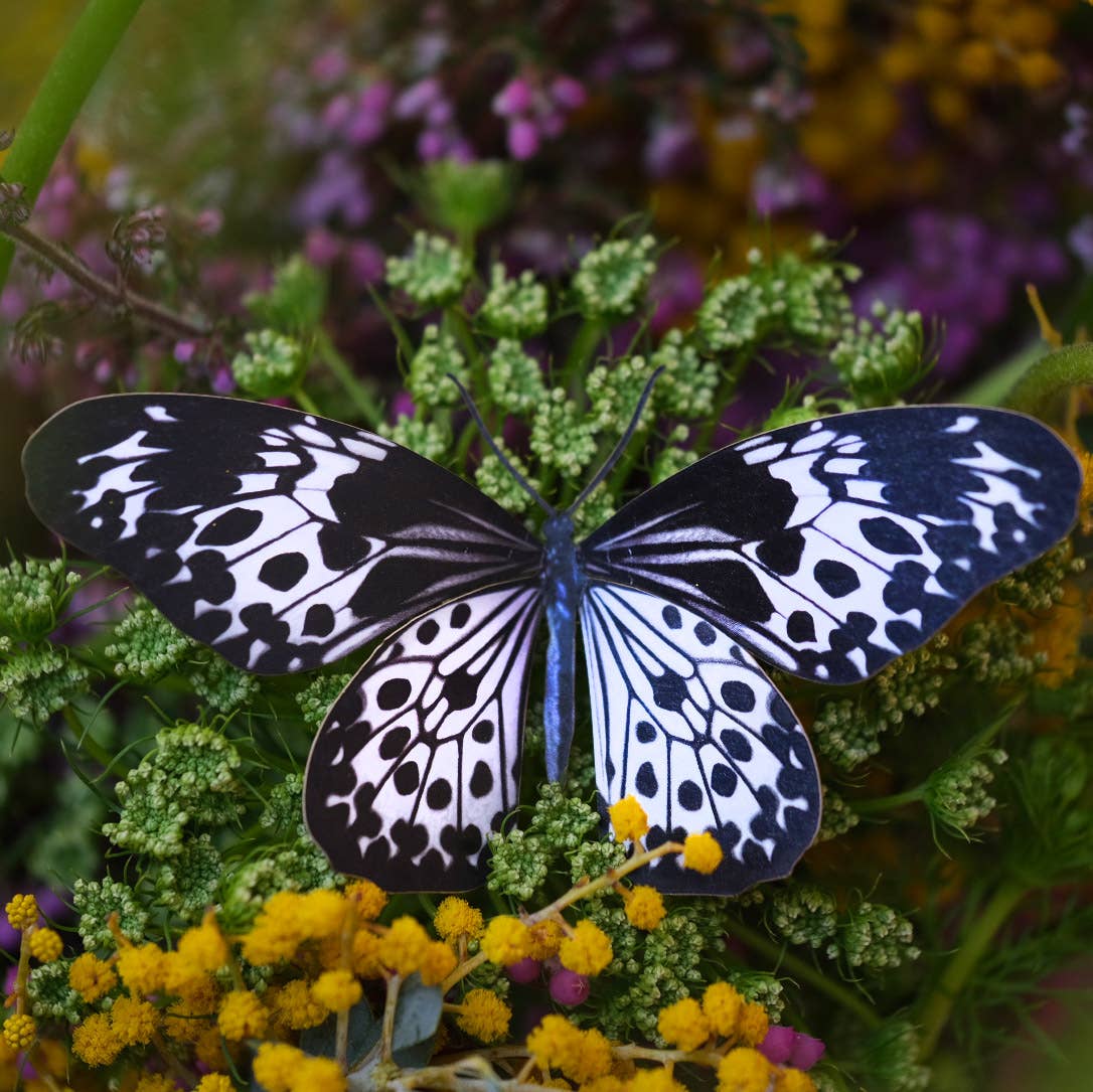 'Marble' Butterfly 3 piece Set