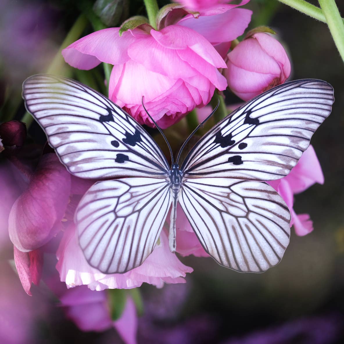 'Marble' Butterfly 3 piece Set