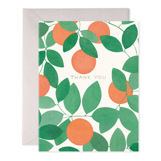 Orange Grove Thank you (Boxed set of 6)