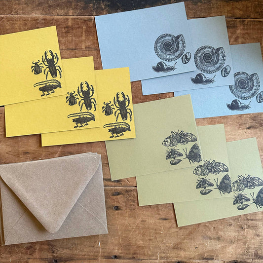 Insect Letterpress Stationery