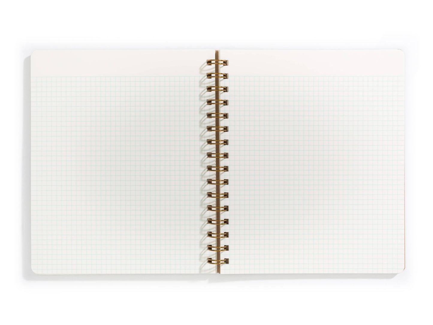 Standard Notebook - Mint