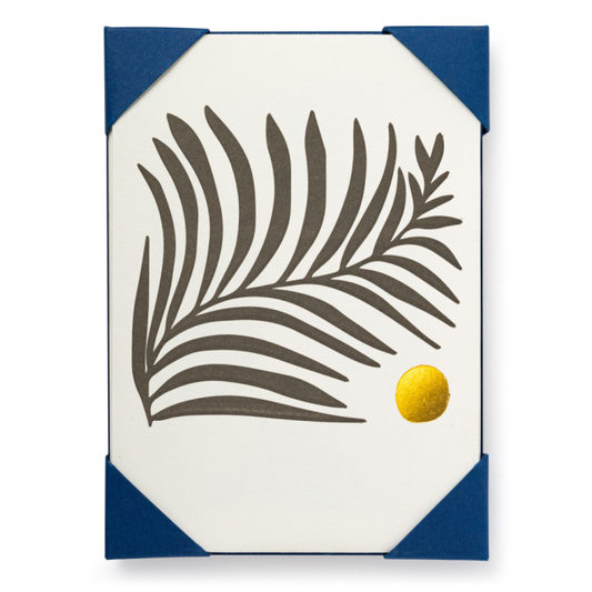 White Fern  | Notelet Card (5-Pack)