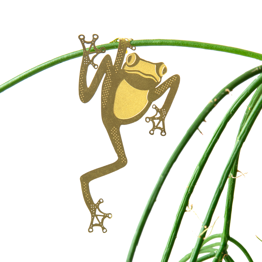 Plant Animal - Tree Frog