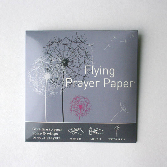 Flying Wish Paper Mini Kit - Dandelion Prayer