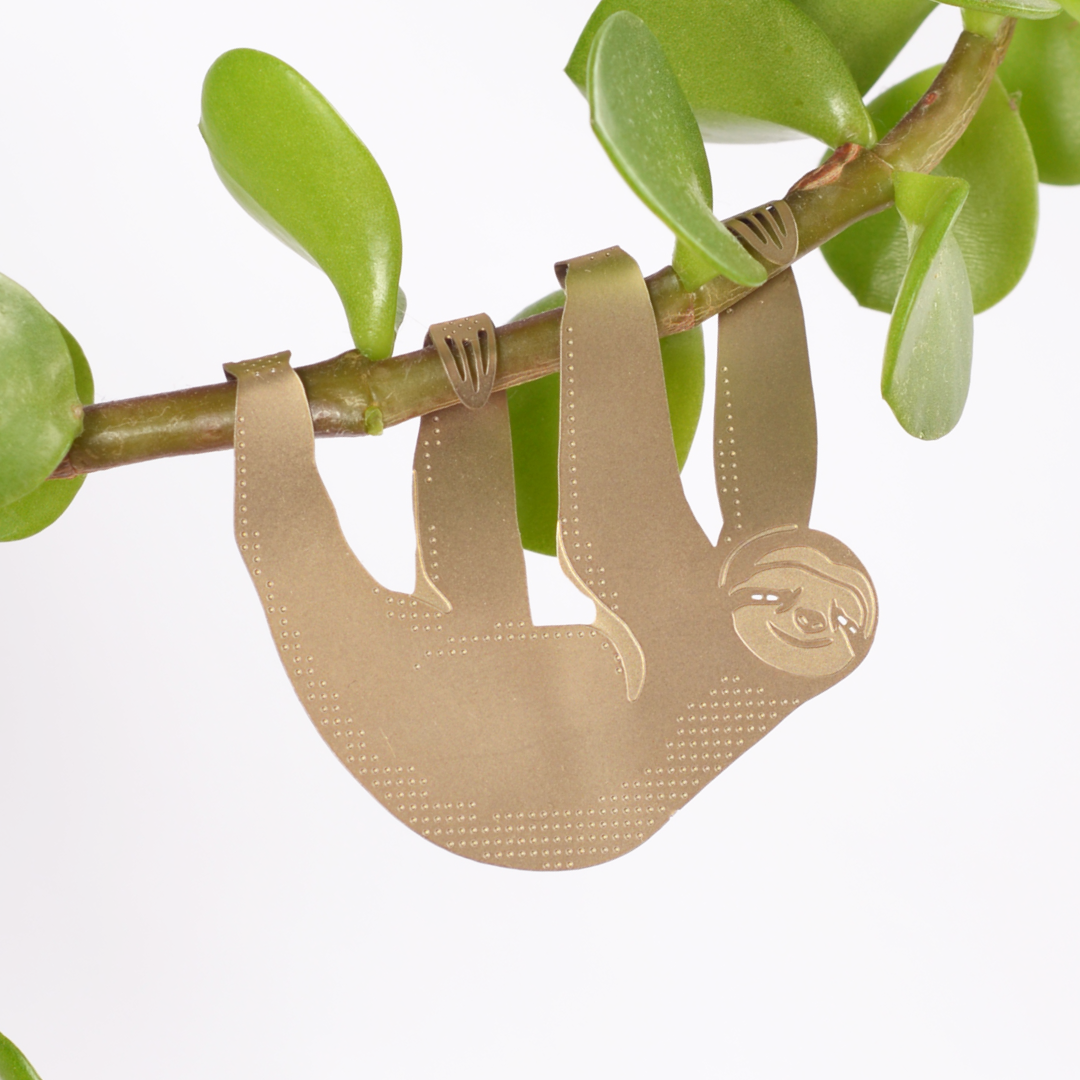 Plant Animal - Sloth, cute houseplant gift